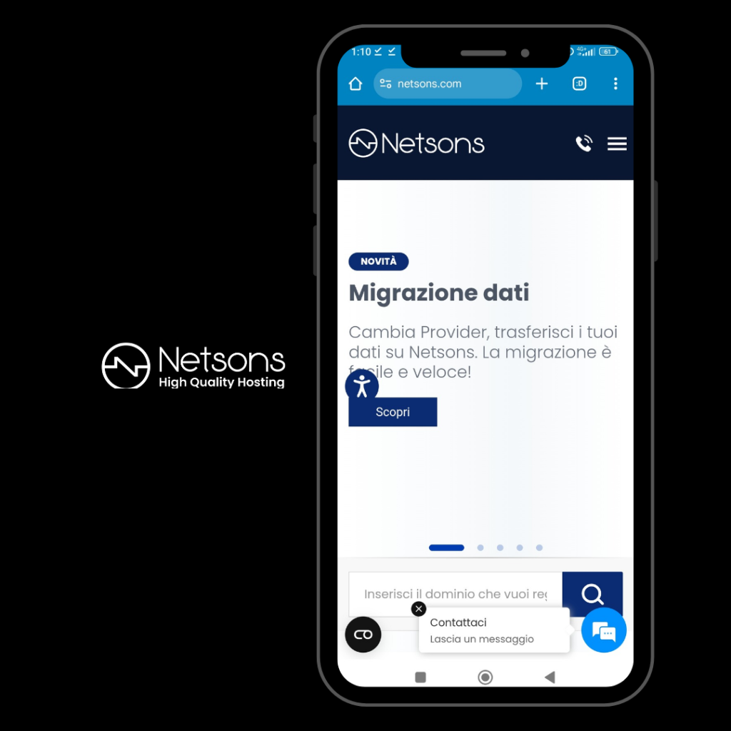 Logo e Screenshot di Netsons